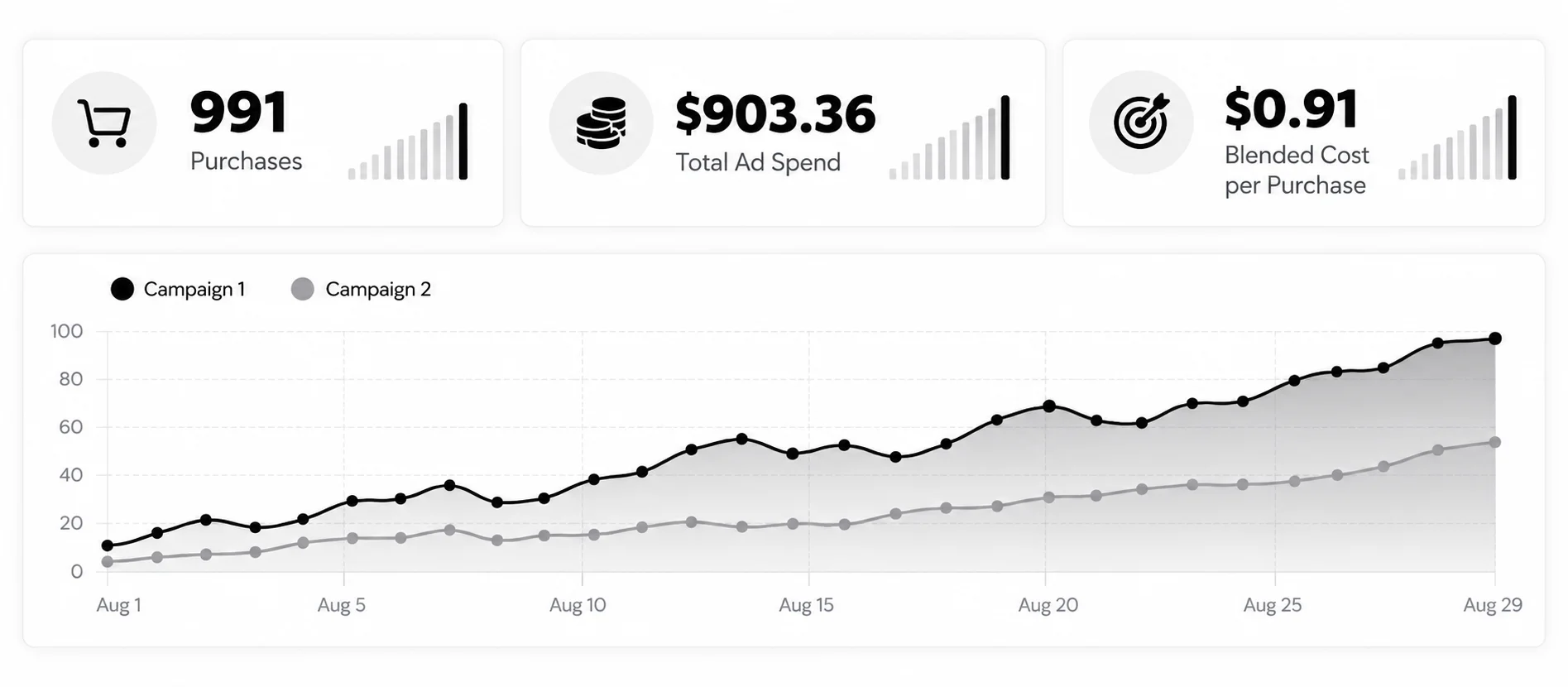Driving 991 Website Purchases With Two Meta Ads Campaigns